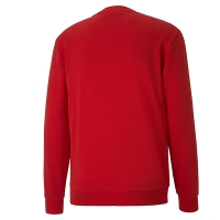 Толстовка PUMA teamGOAL 23 Casuals Crew Neck Sweat 65693301 - вид 1 миниатюра