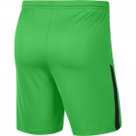 Шорты NIKE DRY LGE KNIT II SHORT NB (SP20) BV6852-329 - вид 1 миниатюра