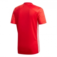 Футболка ADIDAS CAMPEON 21 JSY (SS21) FT6763 - вид 1 миниатюра