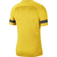 Футболка NIKE DF ACD21 TOP SS (SP21) CW6101-719 - вид 1 миниатюра