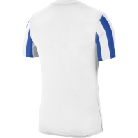 Футболка NIKE DF STRP DVSN IV JSY SS (SP21) CW3813-102 - вид 1 миниатюра