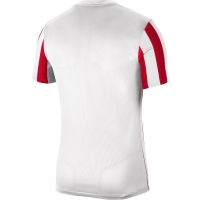 Футболка NIKE DF STRP DVSN IV JSY SS (SP21) CW3813-104 - вид 1 миниатюра
