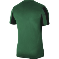 Футболка NIKE DF STRP DVSN IV JSY SS (SP21) CW3813-302 - вид 1 миниатюра
