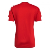 Футболка ADIDAS SQUADRA 21 JERSEY GN5722 - вид 1 миниатюра