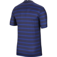 Футболка NIKE FFF BRT STAD JSY SS HM (SU21) CD0700-498 - вид 1 миниатюра