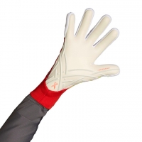 Вратарские перчатки ADIDAS X GL PRO (FW21) GR1543 - вид 1 миниатюра