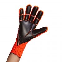 Вратарские перчатки ADIDAS PREDATOR GL PRO (FW21) GR1529 - вид 1 миниатюра
