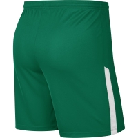 Шорты NIKE DRY LGE KNIT II SHORT NB JR (SP20) BV6863-302 - вид 1 миниатюра