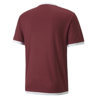 Футболка PUMA teamLIGA Jersey 70491709 - вид 1 миниатюра