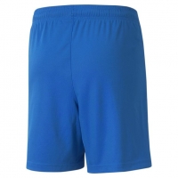Шорты PUMA teamLIGA Shorts Jr 70493102 - вид 1 миниатюра