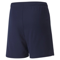 Шорты PUMA teamLIGA Shorts Jr 70493106 - вид 1 миниатюра