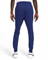 Штаны NIKE TF STRIKE PANT KWPZ WW (HO21) DC9159-492 - вид 1 миниатюра