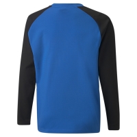 Свитер PUMA teamLIGA Training Sweat Jr 65723902 - вид 1 миниатюра