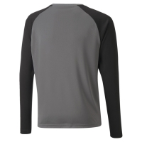 Детский вратарский свитер PUMA teamPACER GK LS Jersey Jr (AW21) 70493943 - вид 1 миниатюра
