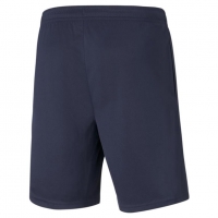Шорты PUMA teamRISE Training Shorts 65733606 - вид 1 миниатюра