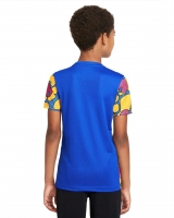 Детская футболка NIKE DF GX2 TOP SS FP JR (HO21) DM4409-719 - вид 1 миниатюра