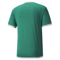 Футболка PUMA teamLIGA Jersey 70491705 - вид 1 миниатюра