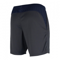 Шорты NIKE ACADEMY PRO SHORT KNIT (SP20) BV6924-066 - вид 1 миниатюра