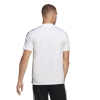 Поло ADIDAS CON22 POLO (SS22) H44106 - вид 1 миниатюра