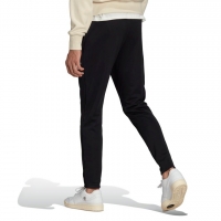 Штаны ADIDAS ENT22 TR PNT (SS22) HC0332 - вид 1 миниатюра