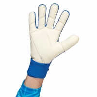 Вратарские перчатки ADIDAS PREDATOR GL COMP (SS22) H43776 - вид 1 миниатюра