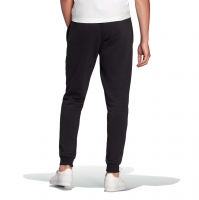 Штаны ADIDAS ENT22 SW PNT HB0574 - вид 1 миниатюра