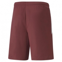 Шорты PUMA teamLIGA Shorts (AW21) 70492409 - вид 1 миниатюра