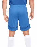 Шорты NIKE DF ACD21 SHORT K (SP22) CW6107-407 - вид 1 миниатюра