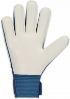 Вратарские перчатки NIKE GK MATCH JR (SP22) CQ7795-447 - вид 1 миниатюра