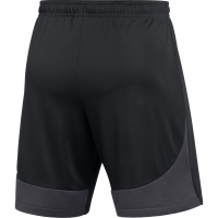 Шорты NIKE DF ACDPR SHORT K (SP22) DH9236-014 - вид 1 миниатюра