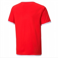 Детская Детская футболка PUMA teamLIGA Jersey Jr 70492501 - вид 1 миниатюра