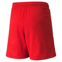 Шорты PUMA teamLIGA Shorts Jr 70493101 - вид 1 миниатюра