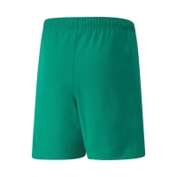 Шорты PUMA teamRISE Shorts JR 70494305 - вид 1 миниатюра