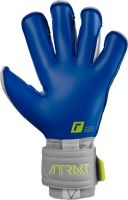 Вратарские перчатки REUSCH Attrakt Gold X Evolution Cut (2022) 5270964-6006 - вид 1 миниатюра