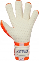 Вратарские перчатки REUSCH Attrakt Freegel SpeedBump (2022) 5270079-2290 - вид 1 миниатюра