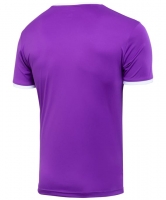 Футболка игровая JOGEL CAMP Origin Jersey, фиолетовый ут-00016186 УТ-00016186 - вид 1 миниатюра