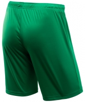 Шорты игровые JOGEL CAMP Classic Shorts, зеленый ут-00016215 УТ-00016215 - вид 1 миниатюра