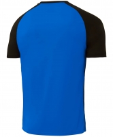 Футболка игровая JOGEL CAMP Striped Jersey, синий/черный ут-00020563 УТ-00020563 - вид 1 миниатюра