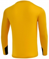 Вратарский свитер JOGEL Division PerFormDRY GK Splash , желтый цб-00001818 ЦБ-00001818 - вид 1 миниатюра
