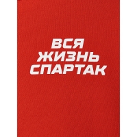 Свитшот "вся жизнь спартак" STHCSM001-01 - вид 3 миниатюра