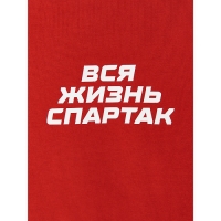Футболка "вся жизнь спартак"STHCSM001-02 STHCSM001-02 - вид 2 миниатюра