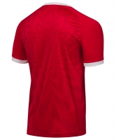 Футболка игровая Jogel NATIONAL Home Jersey Replica, красный цб-00003258 ЦБ-00003258 - вид 2 миниатюра