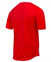 Футболка игровая Jogel NATIONAL PerFormDRY Home Jersey, красный цб-00003131 ЦБ-00003131 - вид 2 миниатюра
