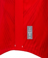 Футболка игровая Jogel NATIONAL PerFormDRY Home Jersey, красный цб-00003131 ЦБ-00003131 - вид 3 миниатюра