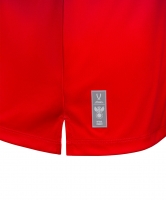 Футболка тренировочная Jogel NATIONAL PerFormDRY Pre-Match Tee, сине-красный цб-00003111 ЦБ-00003111 - вид 3 миниатюра
