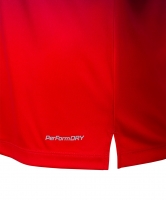 Футболка тренировочная Jogel NATIONAL PerFormDRY Pre-Match Tee, сине-красный цб-00003111 ЦБ-00003111 - вид 4 миниатюра