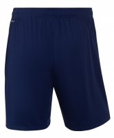 Шорты игровые Jogel NATIONAL PerFormDRY Away Shorts, темно-синий цб-00003113 ЦБ-00003113 - вид 3 миниатюра