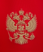 Шорты игровые Jogel NATIONAL PerFormDRY Home Shorts, красный цб-00003112 ЦБ-00003112 - вид 7 миниатюра