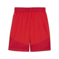 Шорты PUMA teamFINAL Shorts (SS24) 70574301 - вид 1 миниатюра