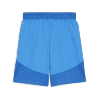 Шорты PUMA teamFINAL Shorts (SS24) 70574302 - вид 1 миниатюра